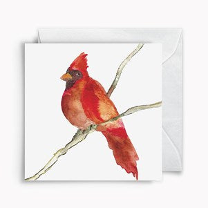 Enclosure Cards - Cardinal, Single