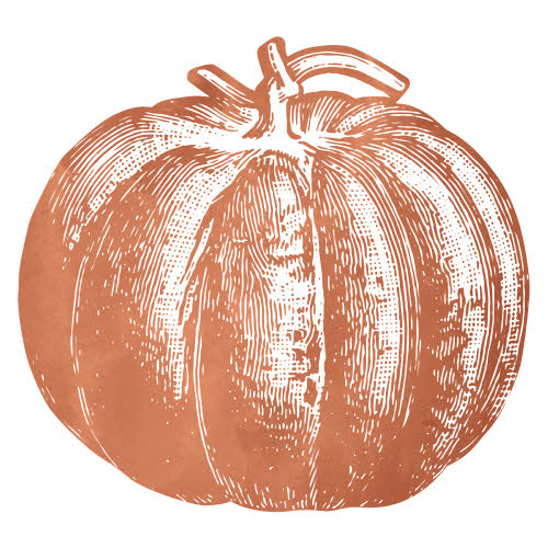 Die-cut Pumpkin Placemat- 12 Sheets